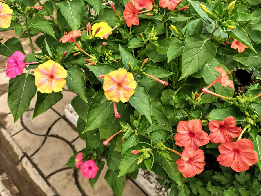 img_20250803_192248628_hdr.jpg